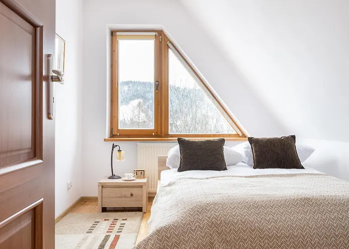 Apartserwis Orkana Oli