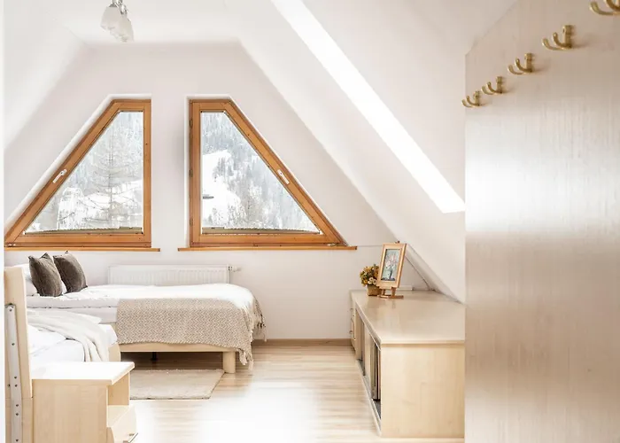 Apartserwis Orkana Oli